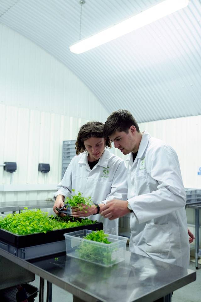 Scholarships in Agriculture and Environmental Sciences