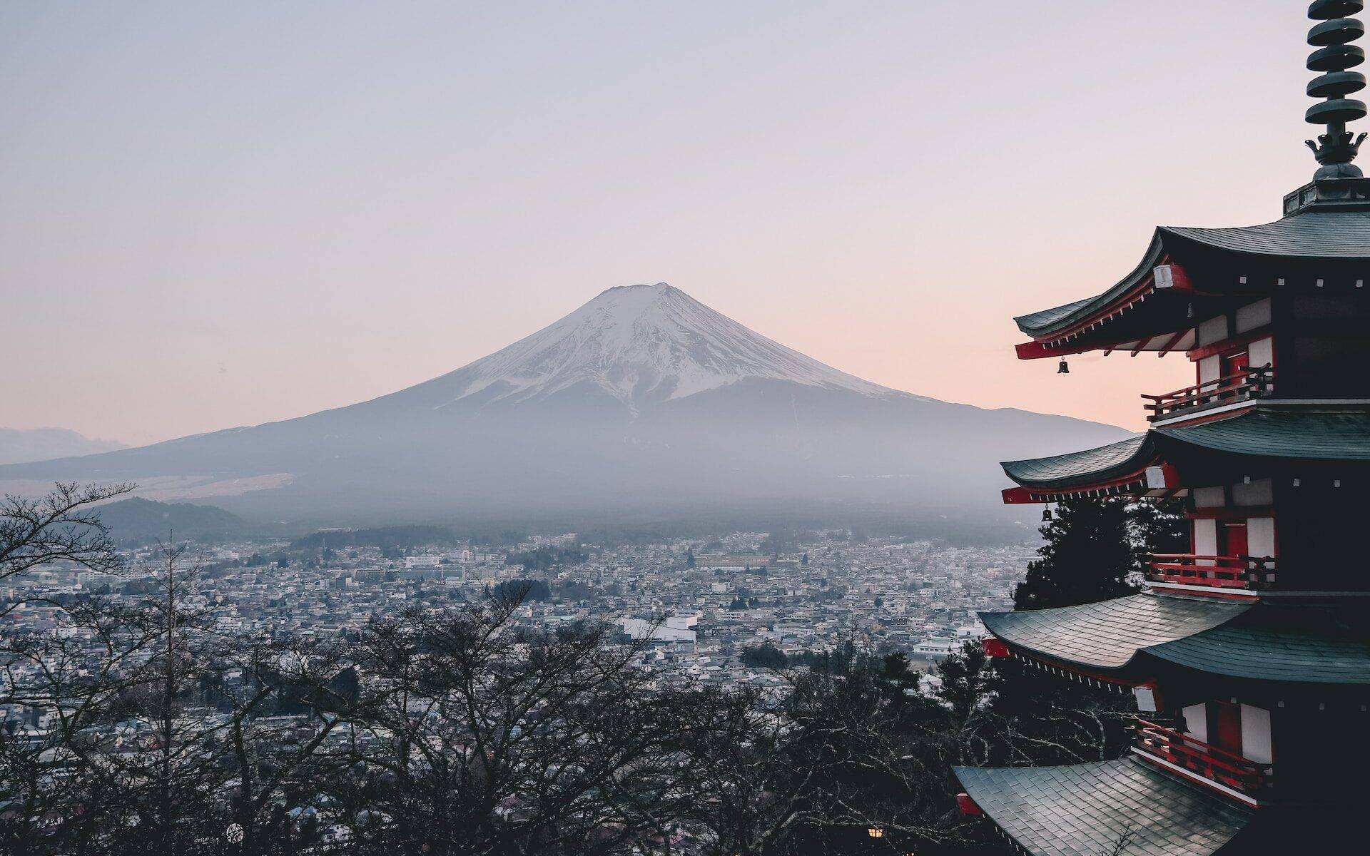 Studying in Japan